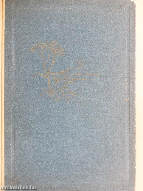 Nápoly eladó ötér'