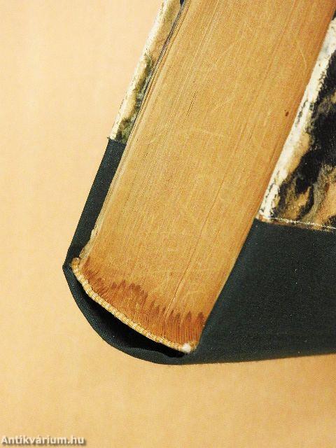 A varázshegy I-IV.