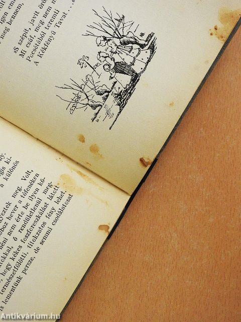 Amikor én kislány voltam