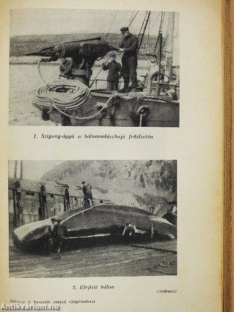 A huszadik század világvándorai