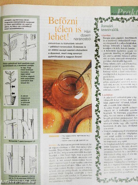 Házi Praktika 2001. január-december