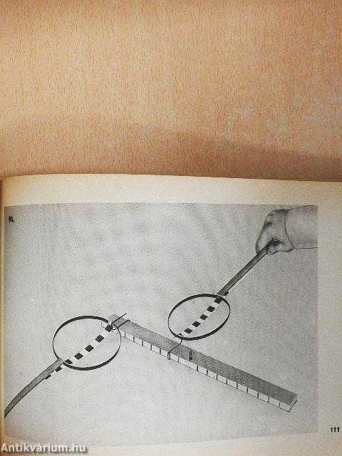 Hogyan tanuljunk fizikát? I. 