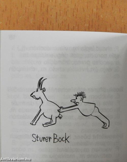 Holzkopf Knucklehead & Co. (minikönyv)