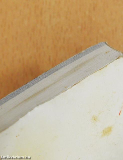 Der kleine Weltatlas (minikönyv)