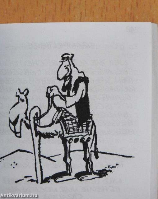 333 kuriose Fakten zum Staunen & Schmunzeln (minikönyv)