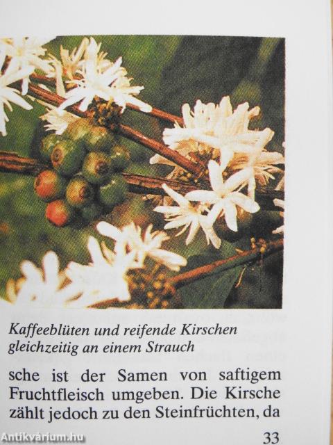 Das kleine Buch vom Kaffee (minikönyv)