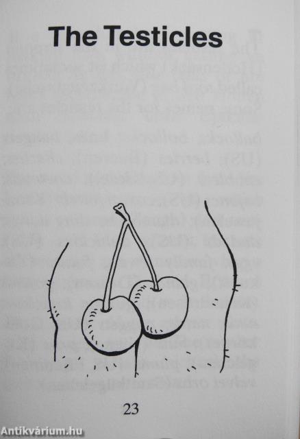 The Dirty Dictionary (minikönyv)