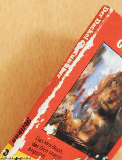 Der Dackel Gestuuuher und zwei andere Hundegeschichten (minikönyv)