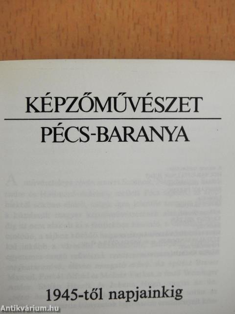 Képzőművészet - Pécs-Baranya (minikönyv) (számozott)