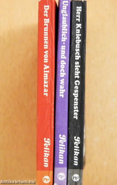 Der Brunnen von Almazar/Unglaublich- und doch wahr/Herr Kniebusch sieht Gespenster