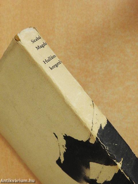 Hullámok kergetése