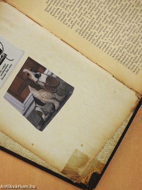 Magyar és német kézi szótár I. (rossz állapotú)