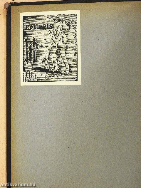 Német és magyar nagy kézi szótár II. (rossz állapotú)