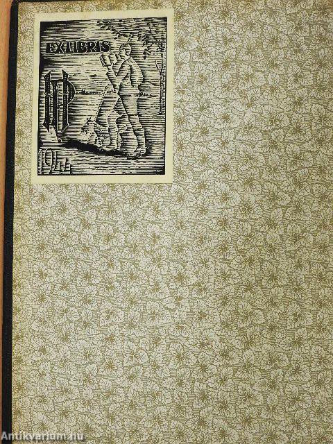 Magyar és német nagy kézi szótár I. (rossz állapotú)