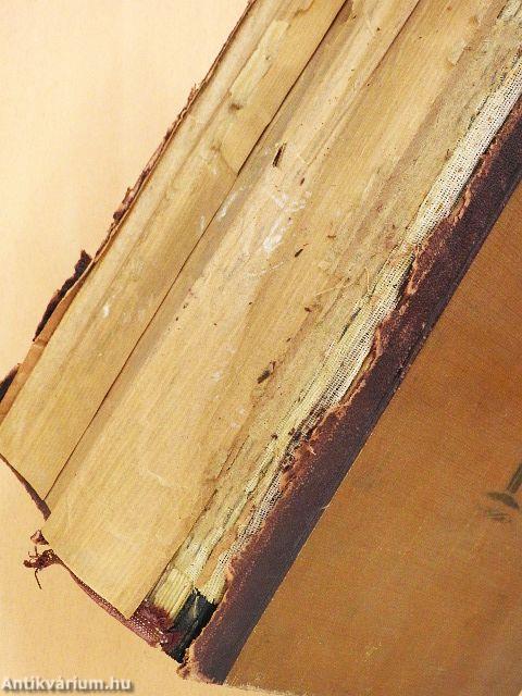 A Család egészsége (rossz állapotú)