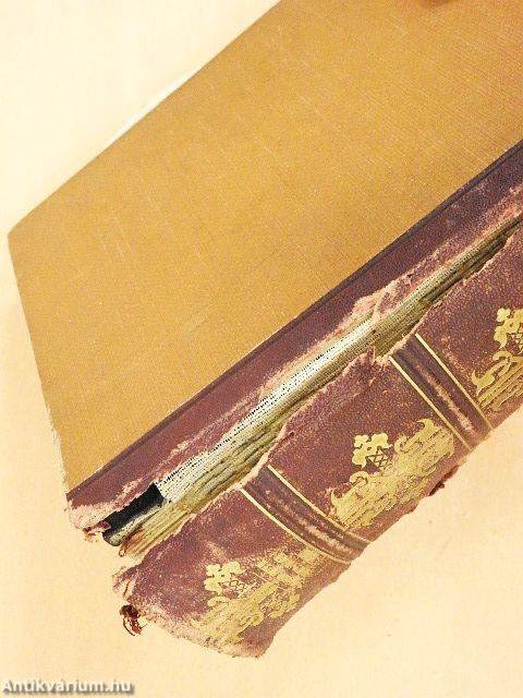 A Család egészsége (rossz állapotú)