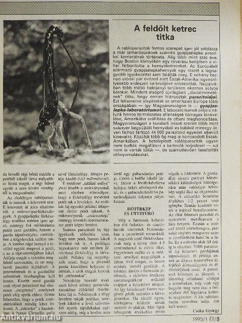 Élet és Tudomány 1993. (nem teljes évfolyam) 