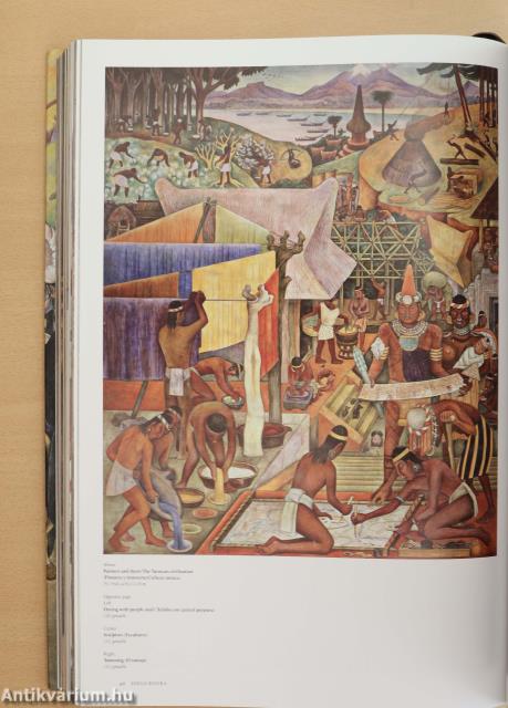 Diego Rivera (védődobozos példány)