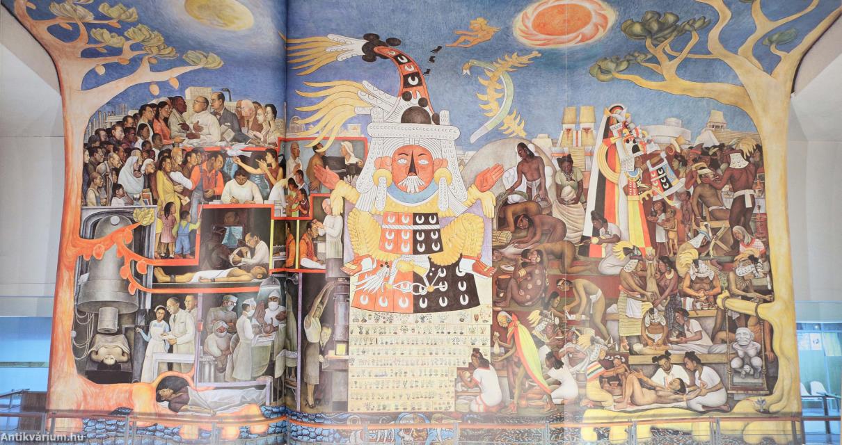 Diego Rivera (védődobozos példány)