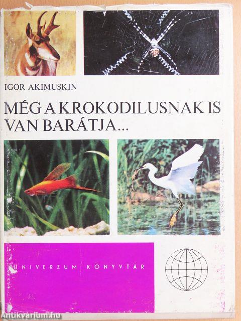 Még a krokodilusnak is van barátja...