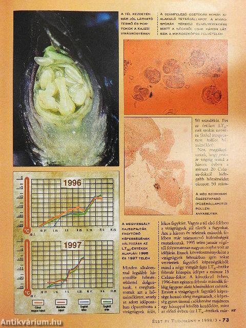Élet és Tudomány 1998. (nem teljes évfolyam)