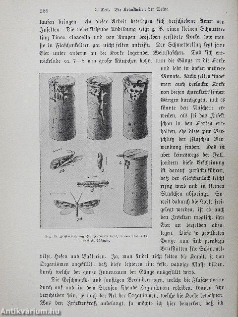 Wissenschaftlichen Grundlagen der Weinbereitung und Kellerwirtschaft (gótbetűs)