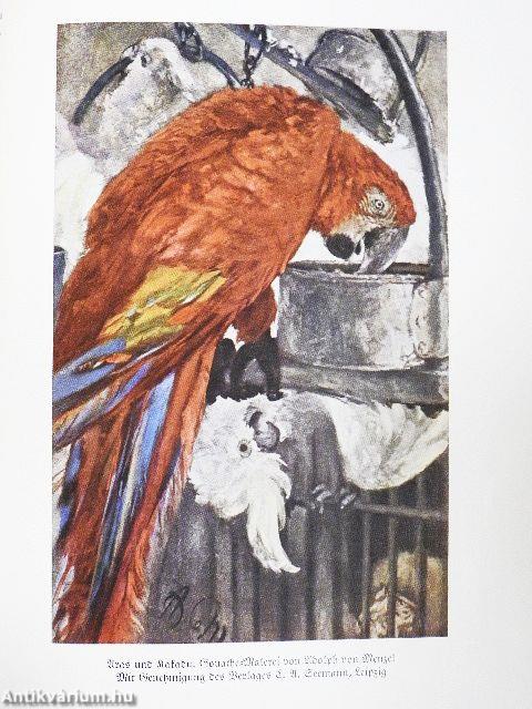 Das Reich der Tiere I-III./Tiere der Vorzeit (gótbetűs)