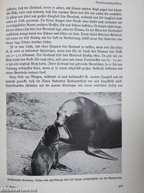 Das Reich der Tiere I-III./Tiere der Vorzeit (gótbetűs)