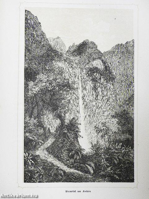 Reise der Österreichischen Fregatte Novara um die Erde I-II. (gótbetűs)