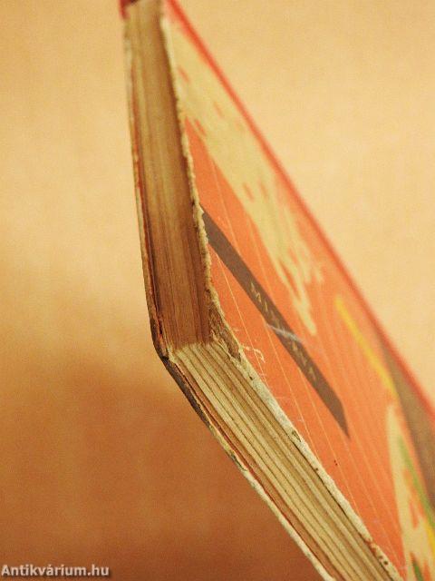 Lányok, asszonyok szakácskönyve