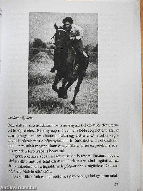 Keserédes éveim