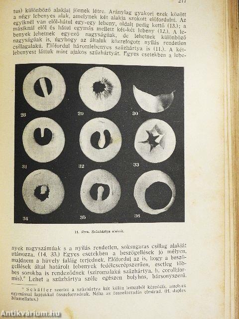A törvényszéki orvostan tankönyve I.