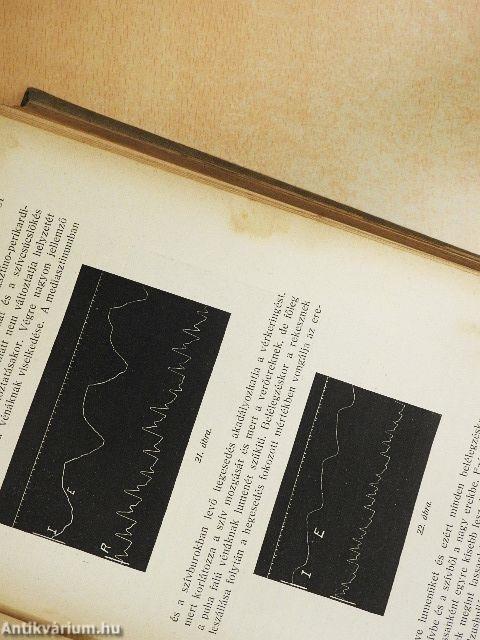 A belorvostan tankönyve I-II.