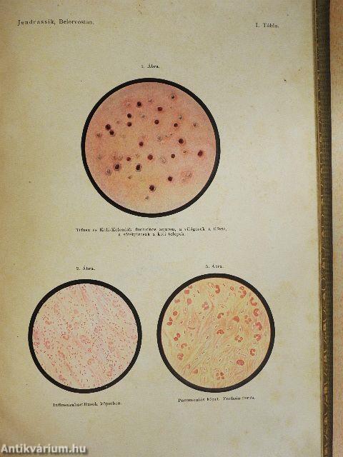A belorvostan tankönyve I-II.