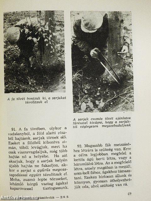 A gyümölcsfák metszése képekben