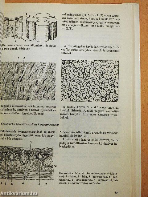 Biológiai gyakorlatok kézikönyve