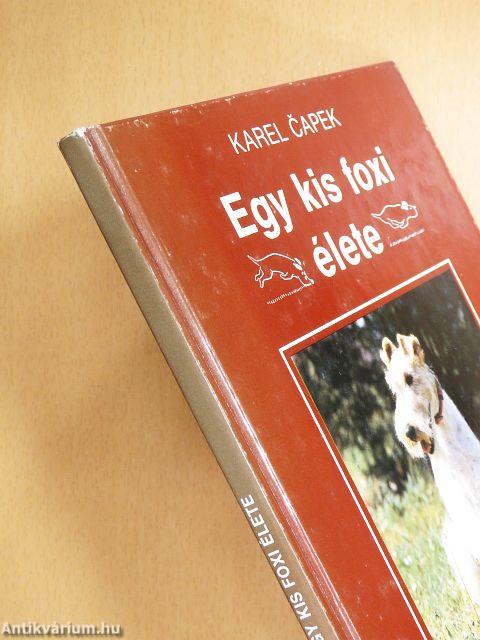 Egy kis foxi élete