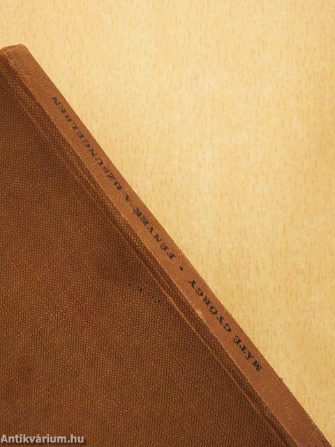 Fények a dzsungelben