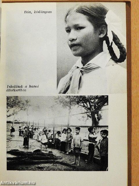 Fények a dzsungelben