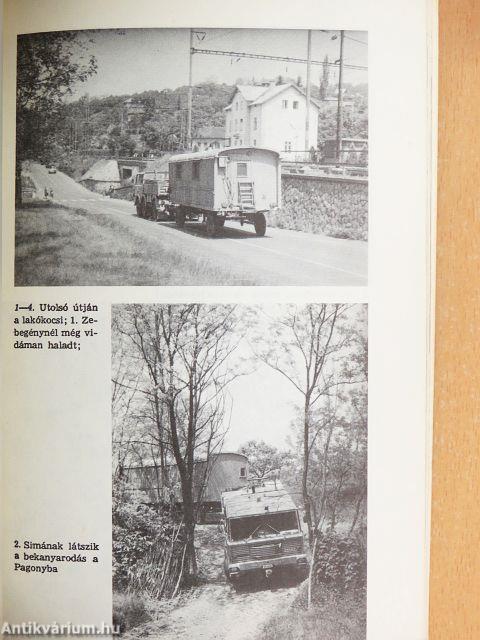 Pagony a Börzsöny szélén