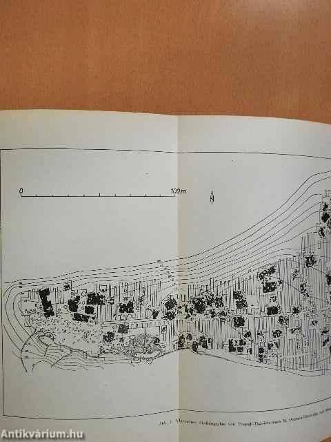 Studijné Zvesti 17.