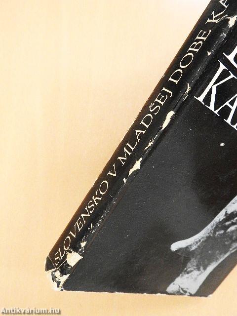 Slovensko v mladsej dobe kamennej