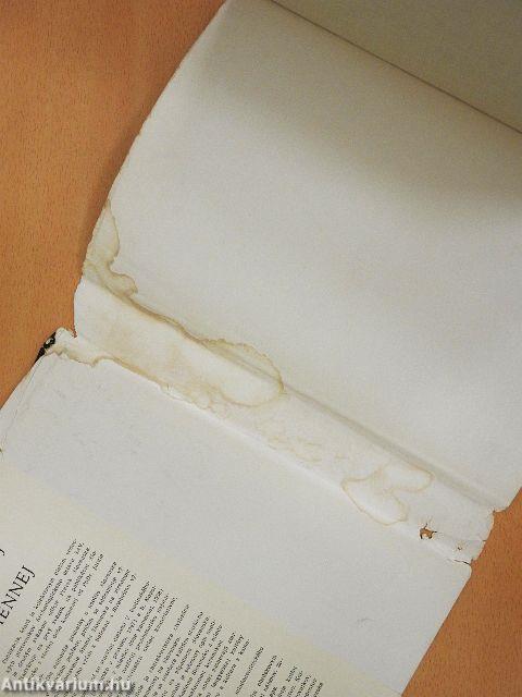 Slovensko v mladsej dobe kamennej