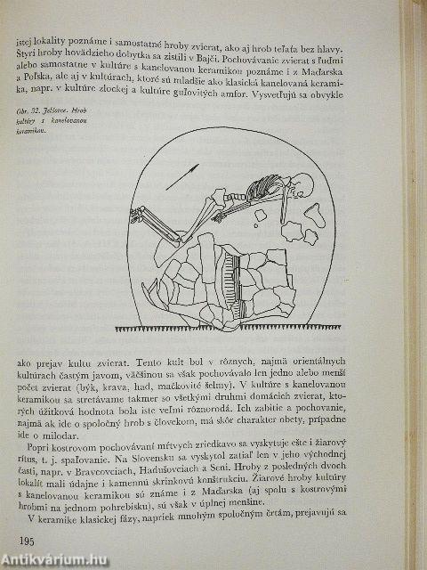 Slovensko v mladsej dobe kamennej