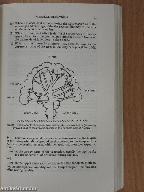 Tsetse Flies in Nigeria