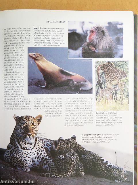 A természet megfejtett titkai