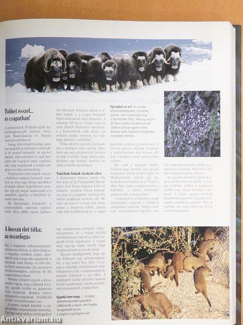 A természet megfejtett titkai