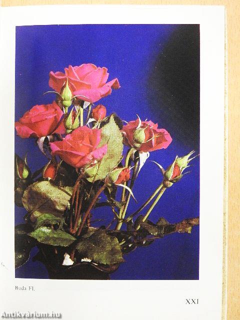 Rózsák zsebkönyve