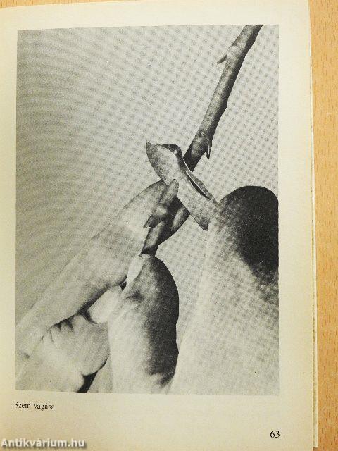 Rózsák zsebkönyve