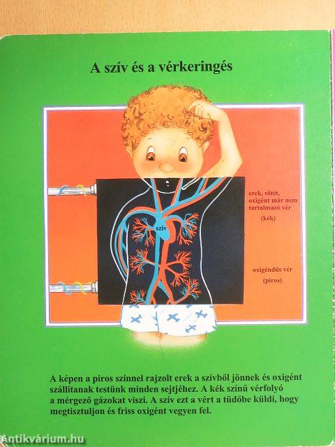 Az emberi testről gyerekeknek